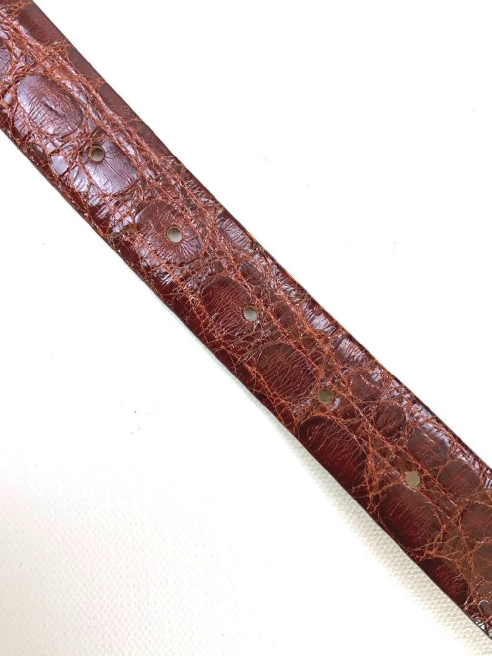 Vintage classic crocodile